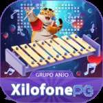 xilofonepg Premium Brasil